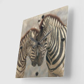 Zebra met Colt Vierkante Klok (Hoek)