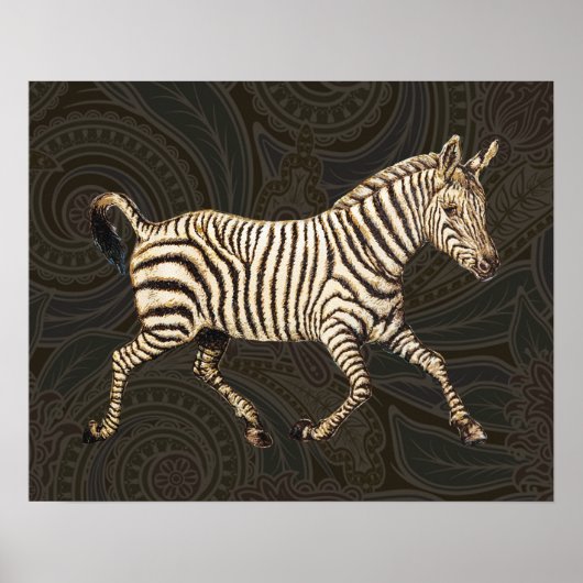 zebra met paisleyontwerp poster (Voorkant)