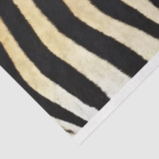 Zebra-meubelpapier Tissuepapier (Detail)