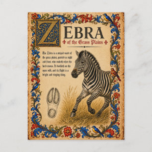 Zebra, Middeleeuwse Bestiarium Kunst Briefkaart