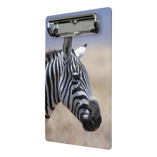 Zebra Mini Klembord (Angled2)