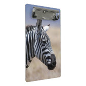Zebra Mini Klembord (Schuin)