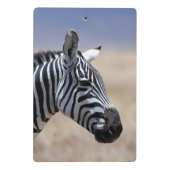 Zebra Mini Klembord (Achterkant)