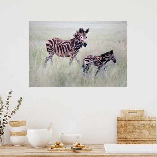 Zebra moeder en baby poster (Keuken)