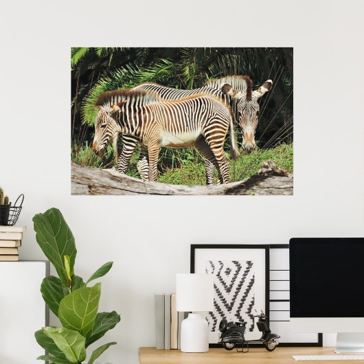 Zebra Moeder & Veulen 36 x 24 Foto Poster (Thuiskantoor)
