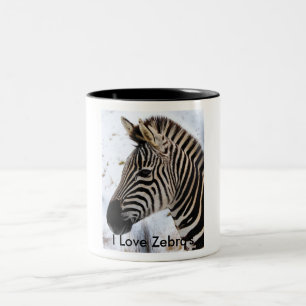 Zebra Mok
