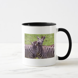 Zebra mok