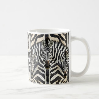 Zebra Mok