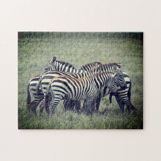 zebra-mondstuk legpuzzel (Horizontaal)