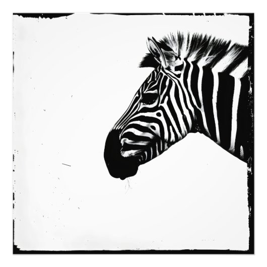 Zebra Monochroom Minimalisme Foto Afdruk (Voorkant)