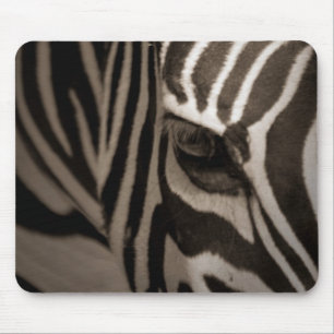 Zebra Muismat