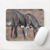 Zebra Muismat (Met muis)