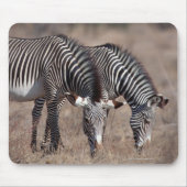 Zebra Muismat (Voorkant)