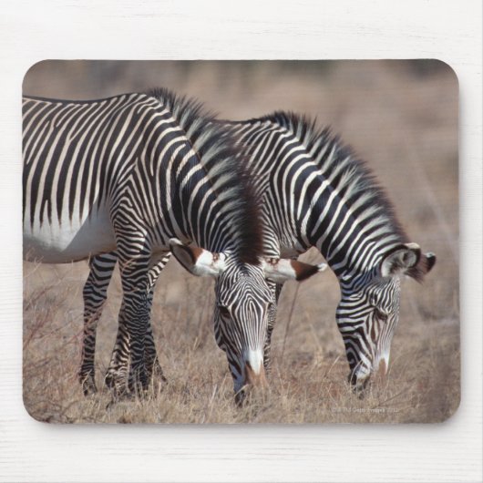 Zebra Muismat (Voorkant)