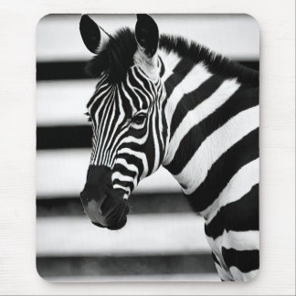 Zebra Muismat