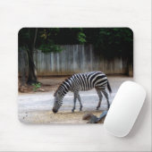 Zebra Muismat (Met muis)