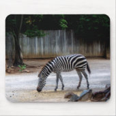 Zebra Muismat (Voorkant)