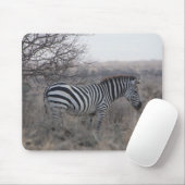 Zebra Muismat (Met muis)