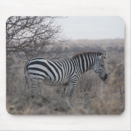 Zebra Muismat