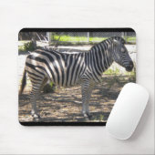 Zebra Muismat (Met muis)