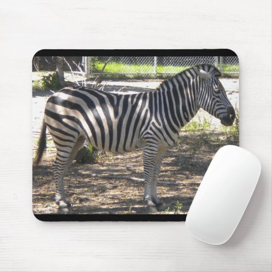 Zebra Muismat (Met muis)