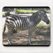 Zebra Muismat (Voorkant)