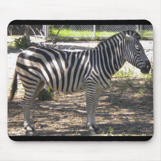 Zebra Muismat (Voorkant)