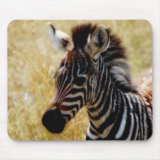 Zebra muismatten van wilde dieren (Voorkant)