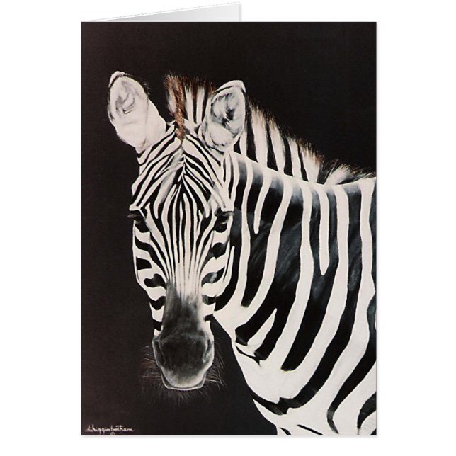 Zebra naar links gericht (Voorkant)