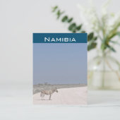 Zebra, Namibië Briefkaart (Staand voorkant)