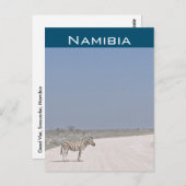 Zebra, Namibië Briefkaart (Voorkant / Achterkant)