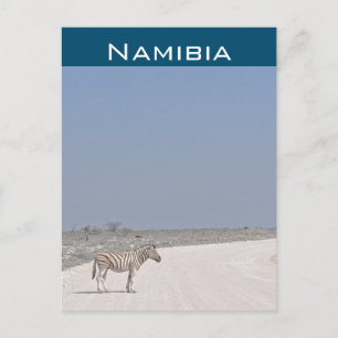 Zebra, Namibië Briefkaart