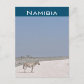 Zebra, Namibië Briefkaart (Voorkant)