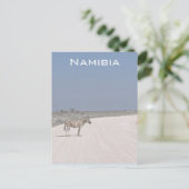 Zebra, Namibië Briefkaart (Staand voorkant)
