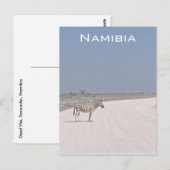 Zebra, Namibië Briefkaart (Voorkant / Achterkant)