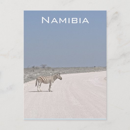 Zebra, Namibië Briefkaart (Voorkant)
