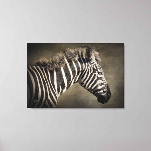 Zebra Natuurfotografie Kunst Canvas Afdruk (Voorkant)