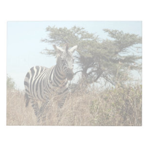 zebra notitieblok
