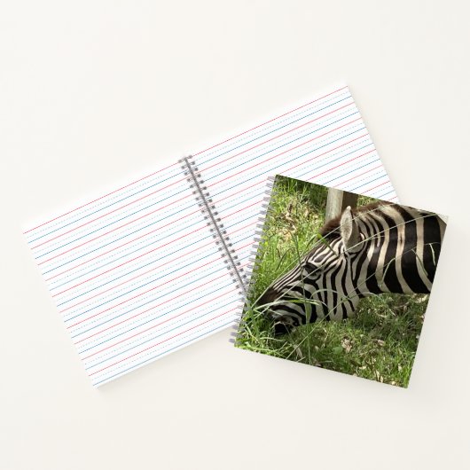 Zebra Notitieboek (Binnen)