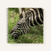 Zebra Notitieboek (Voorkant)