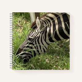 Zebra Notitieboek