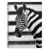 Zebra Notitieboek (Voorkant)