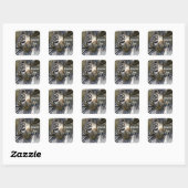 Zebra, om het even welke Occasies_ Vierkante Sticker (Vel)