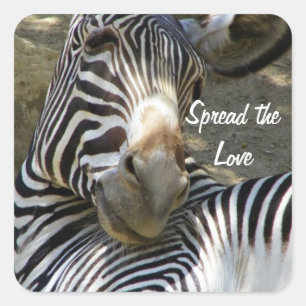 Zebra, om het even welke Occasies_ Vierkante Sticker