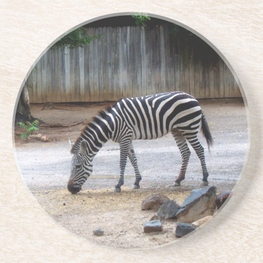 Zebra Onderzetter (Voorkant)
