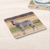 Zebra-onderzetter Kartonnen Onderzetters (Schuin)