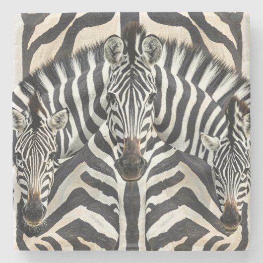 Zebra Onderzetters (Voorkant)