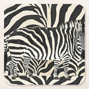 Zebra Onderzetters