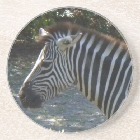 Zebra Onderzetters (Voorkant)
