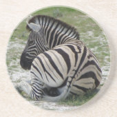 Zebra Onderzetters (Voorkant)